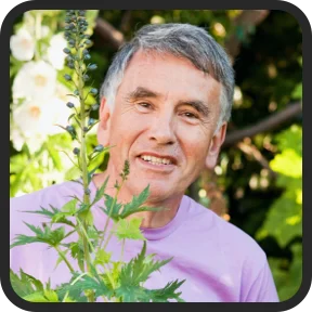 ProNerve6 Real Reviews